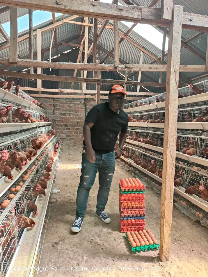 Farm